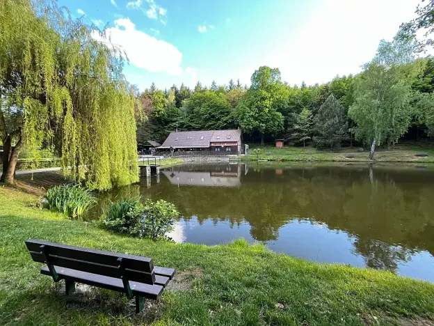 Prodej - jiné, Olšany, 40 m2