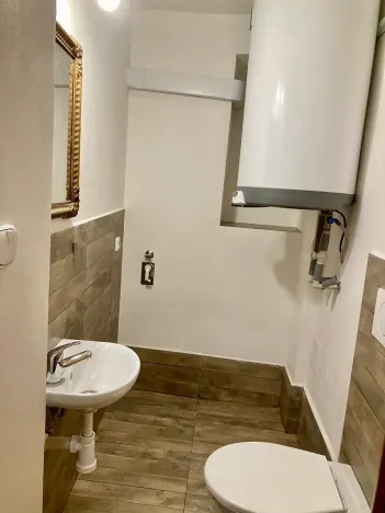 Pronájem bytu 1+1, Praha - Košíře, Vrchlického, 30 m2