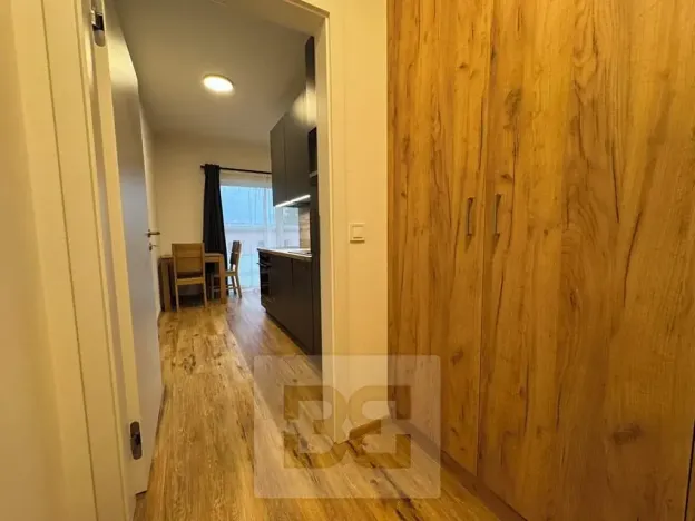 Pronájem bytu 1+kk, Brno, Košinova, 30 m2