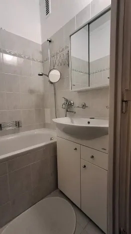 Pronájem bytu 2+1, Brno - Černá Pole, náměstí SNP, 55 m2