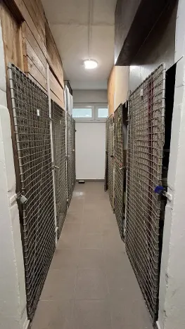 Pronájem bytu 2+1, Brno - Černá Pole, náměstí SNP, 55 m2