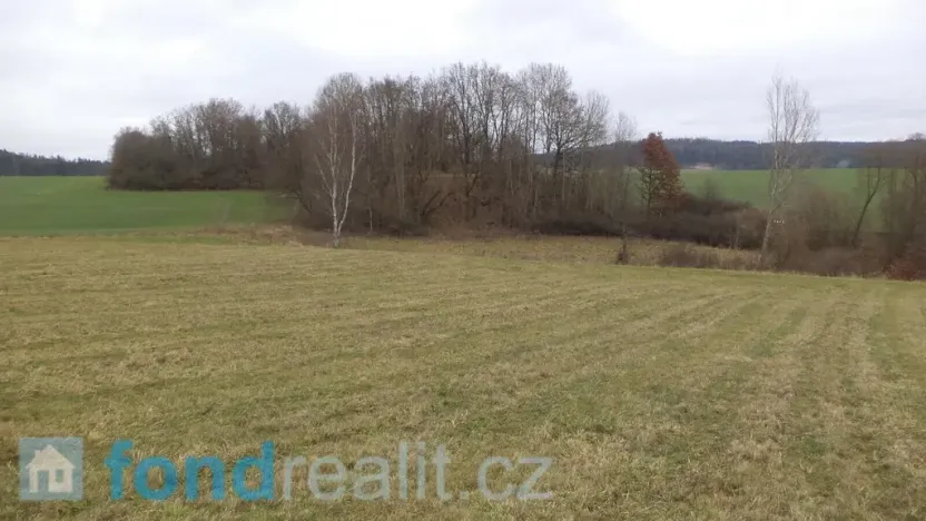 Prodej pole, Srby, 12056 m2