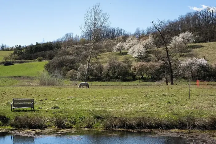 Prodej rodinného domu, Rašovice, 105 m2