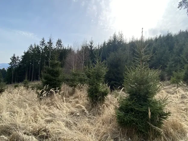 Prodej louky, Městečko Trnávka - Lázy, 1026 m2