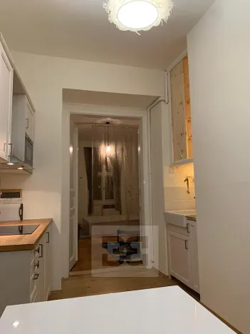 Pronájem bytu 1+1, Praha - Nové Město, Petrská, 37 m2