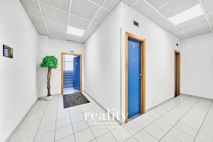 Pronájem ordinace, Znojmo, Kuchařovická, 84 m2