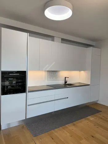Pronájem bytu 3+kk, Praha - Vinohrady, Třebízského, 124 m2