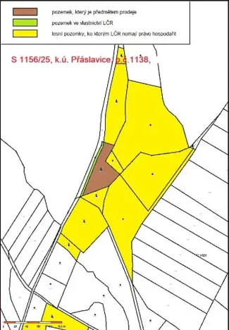 Prodej lesa, Přáslavice, 2463 m2
