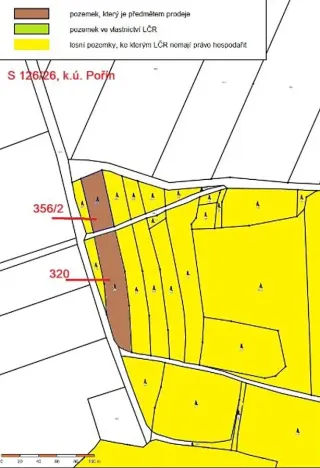 Prodej lesa, Dolní Hořice, 4311 m2