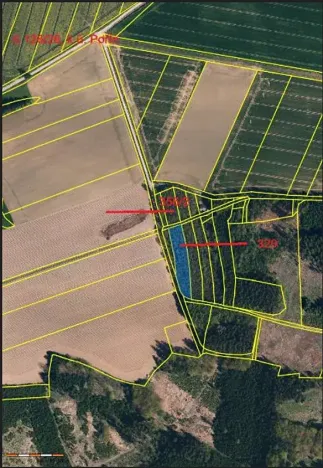 Prodej lesa, Dolní Hořice, 4311 m2