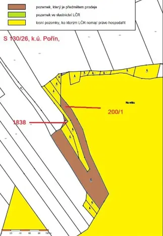Prodej lesa, Dolní Hořice, 8003 m2