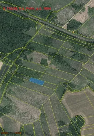Prodej lesa, Dolní Hořice, 3496 m2