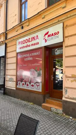 Pronájem obchodního prostoru, Napajedla, 43 m2