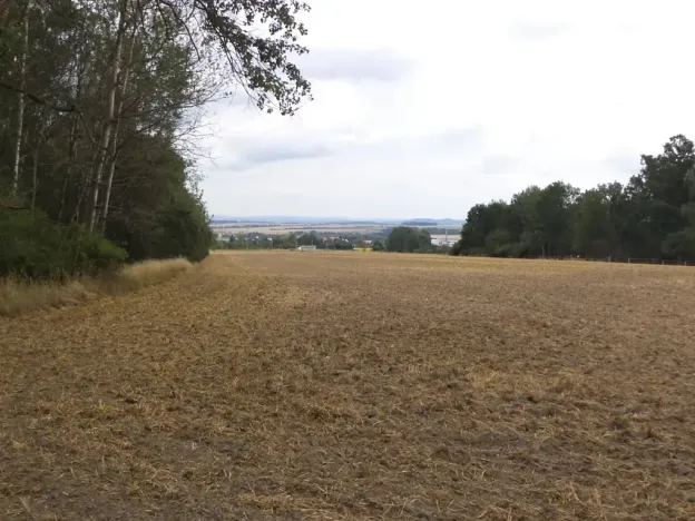 Dražba zahrady, Heřmanova Huť, 1100 m2