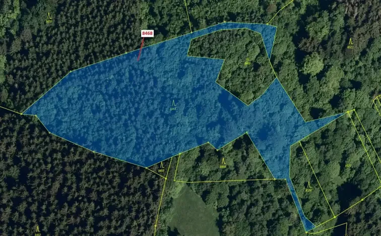 Dražba lesa, Vsetín, 11544 m2