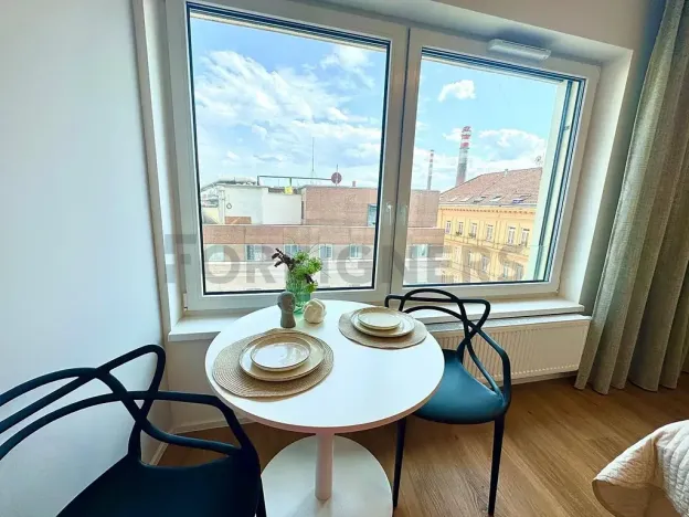 Pronájem bytu 1+kk, Brno, Cejl, 30 m2