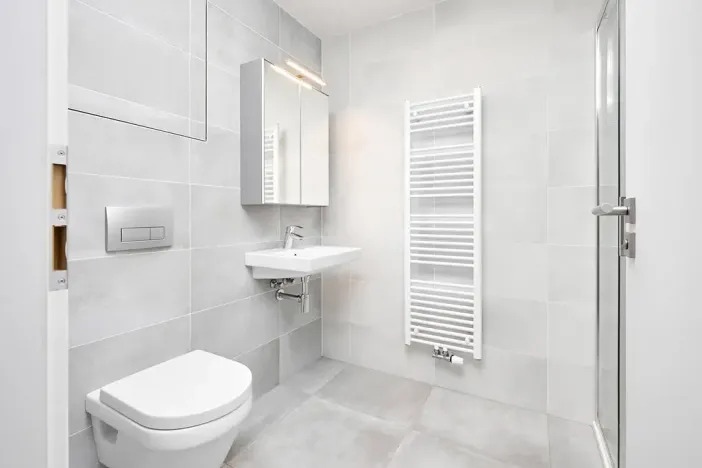 Pronájem bytu 1+kk, Praha - Žižkov, Hartigova, 45 m2