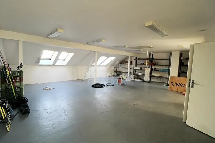 Prodej činžovního domu, Plzeň, Pod Všemi svatými, 450 m2