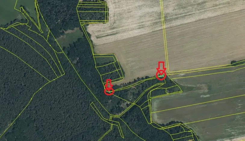 Prodej lesa, Puclice, 13840 m2