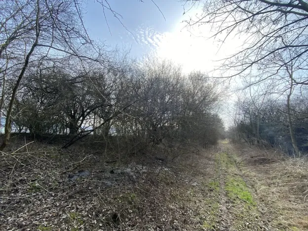 Prodej louky, Městečko Trnávka - Lázy, 1158 m2