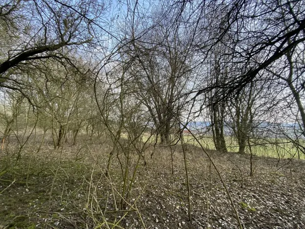 Prodej louky, Městečko Trnávka - Lázy, 1158 m2