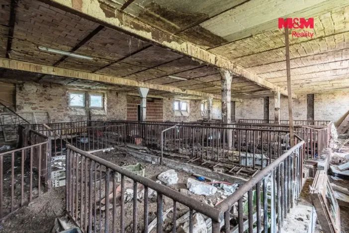 Prodej zemědělského objektu, Bor - Velká Ves, 627 m2