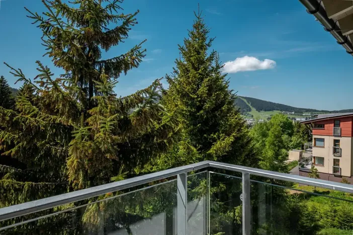 Prodej bytu 2+kk, Loučná pod Klínovcem, 55 m2