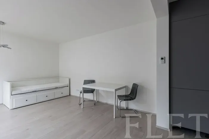 Pronájem bytu 1+kk, Praha - Žižkov, Hartigova, 37 m2