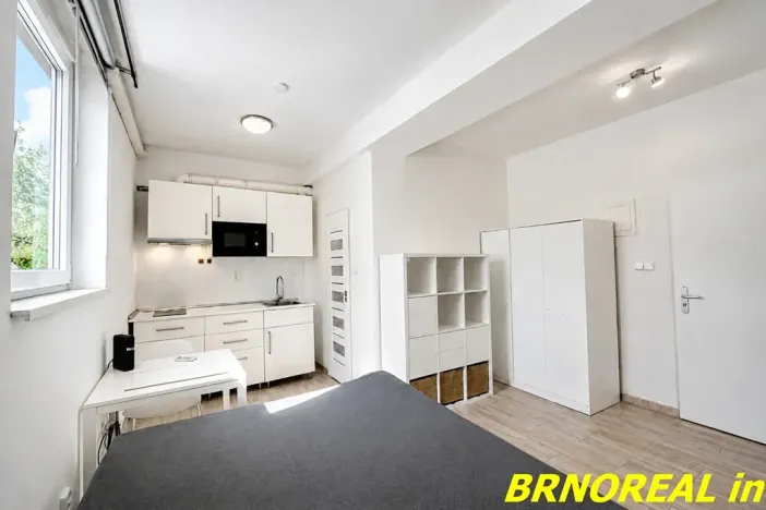 Pronájem bytu 1+kk, Brno, Vodní, 20 m2