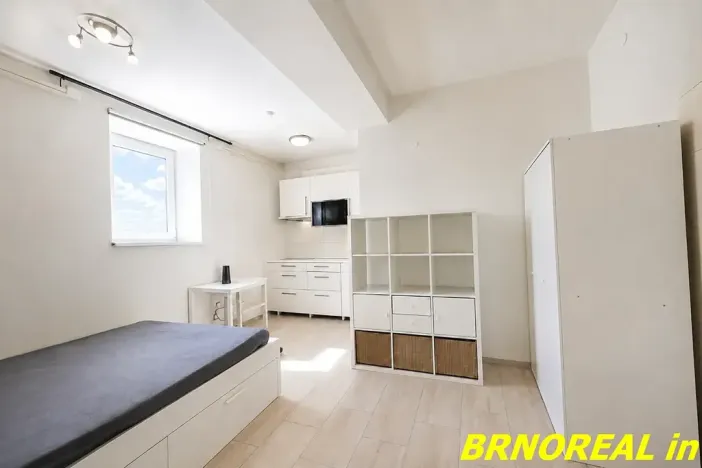 Pronájem bytu 1+kk, Brno, Vodní, 20 m2