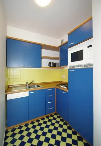 Pronájem bytu 2+kk, Praha - Vinohrady, Polská, 50 m2