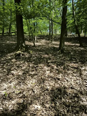 Prodej lesa, Lesnice, 1410 m2