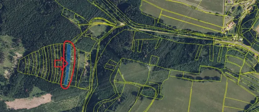 Prodej lesa, Nemile, 3224 m2