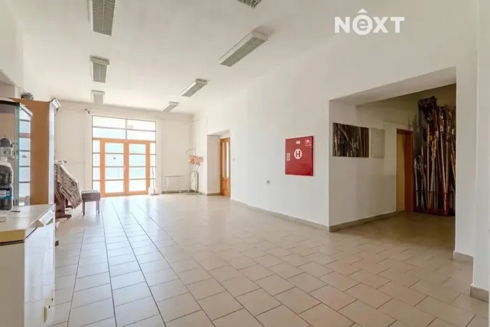 Prodej obchodního prostoru, Petrov, 615 m2
