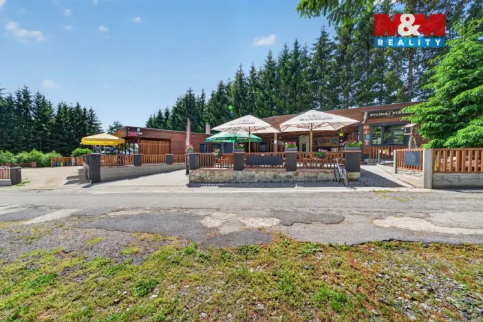 Prodej ubytování, Nová Bystřice - Albeř, 259 m2