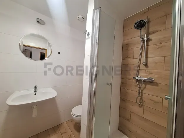 Pronájem bytu 1+kk, Olomouc, Lazecká, 25 m2