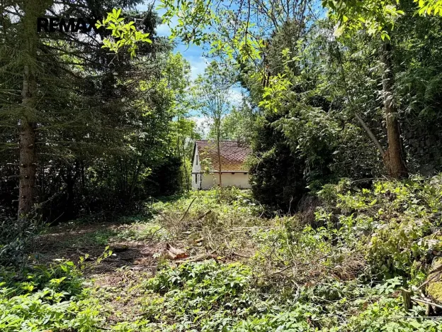 Prodej chalupy, Valeč, 50 m2