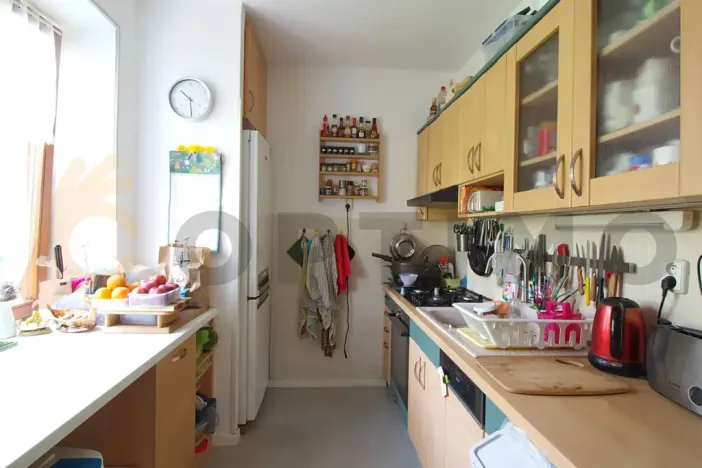 Prodej bytu 2+1, Praha - Žižkov, Pod lipami, 52 m2
