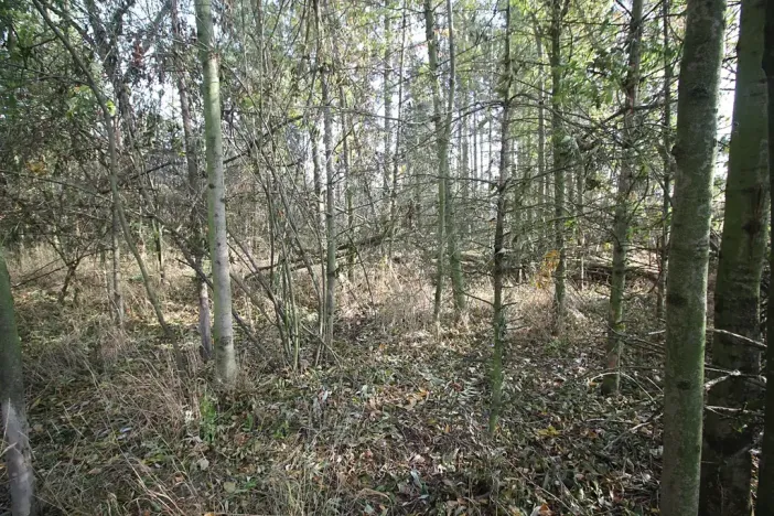Prodej pozemku, Dolní Břežany, Keltská, 3508 m2