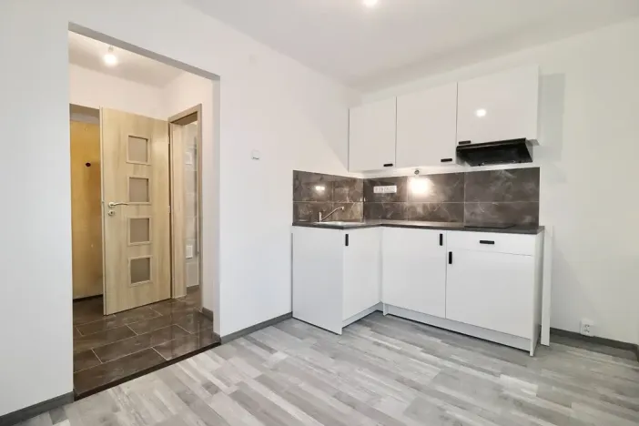 Prodej bytu 1+1, Teplice, Ruská, 30 m2