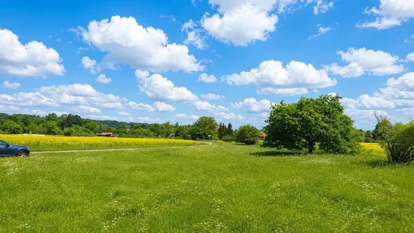 Prodej zahrady, Nová Ves, 658 m2