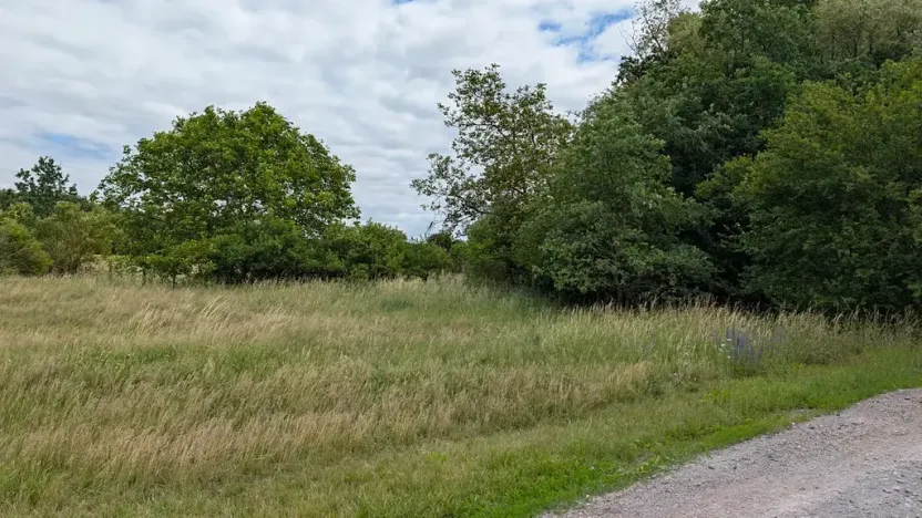 Prodej zahrady, Nová Ves, 658 m2
