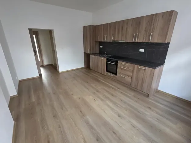 Pronájem bytu 1+1, Teplice, Smetanova, 55 m2
