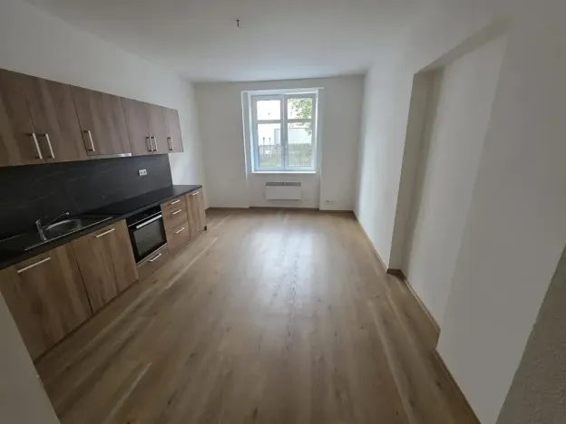 Pronájem bytu 1+1, Teplice, Smetanova, 55 m2