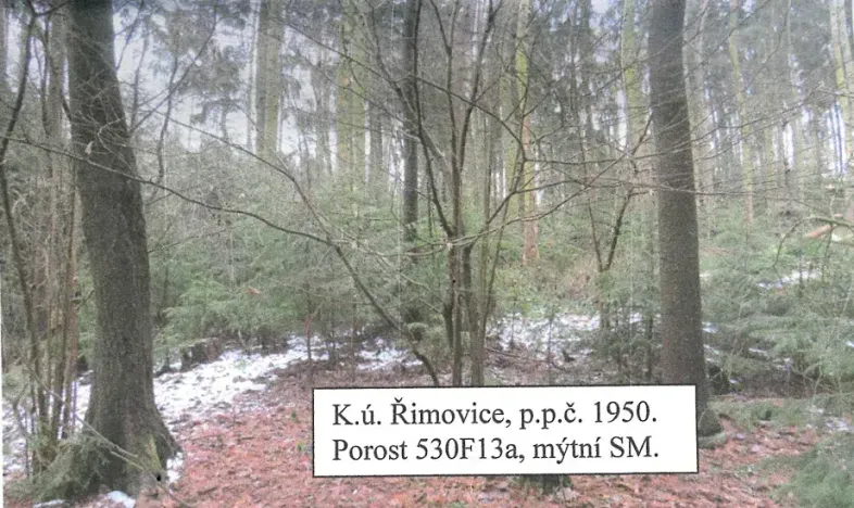 Prodej lesa, Řimovice, 522 m2