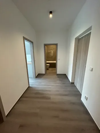 Pronájem bytu 2+kk, Milovice, Kaštanová, 49 m2