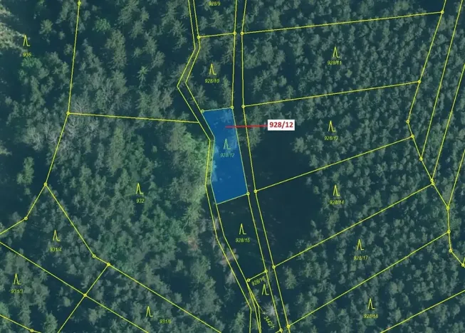 Dražba lesa, Hosty, 418 m2