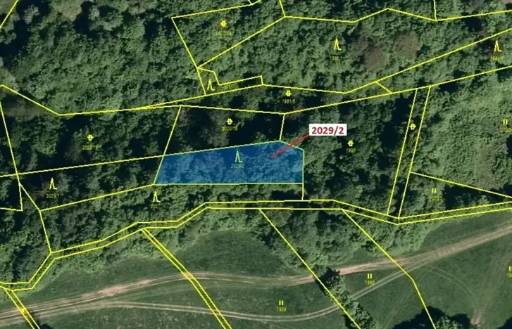 Dražba lesa, Hovězí, 788 m2