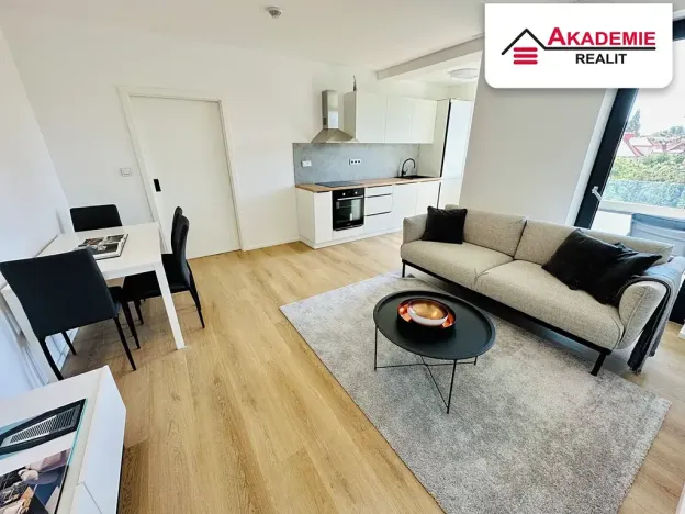 Pronájem bytu 2+kk, Brno, Svatopluka Čecha, 54 m2