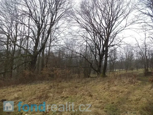 Prodej pole, Česká Kamenice - Horní Kamenice, 5161 m2
